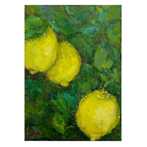 Lemons, Colette  Tschumi